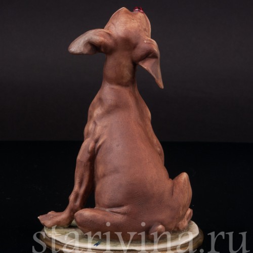 Статуэтка из фарфора Собака с божьей коровкой, Bruno Merli, Италия, 1981  год.
