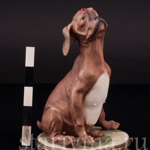 Статуэтка из фарфора Собака с божьей коровкой, Bruno Merli, Италия, 1981  год.