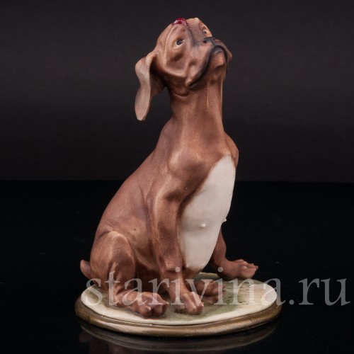 Статуэтка из фарфора Собака с божьей коровкой, Bruno Merli, Италия, 1981  год.