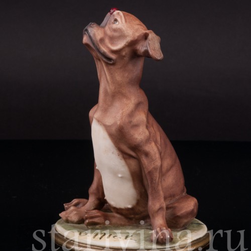 Статуэтка из фарфора Собака с божьей коровкой, Bruno Merli, Италия, 1981  год.