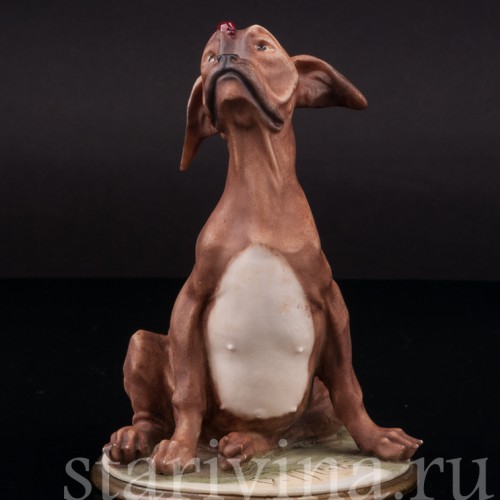 Статуэтка из фарфора Собака с божьей коровкой, Bruno Merli, Италия, 1981  год.