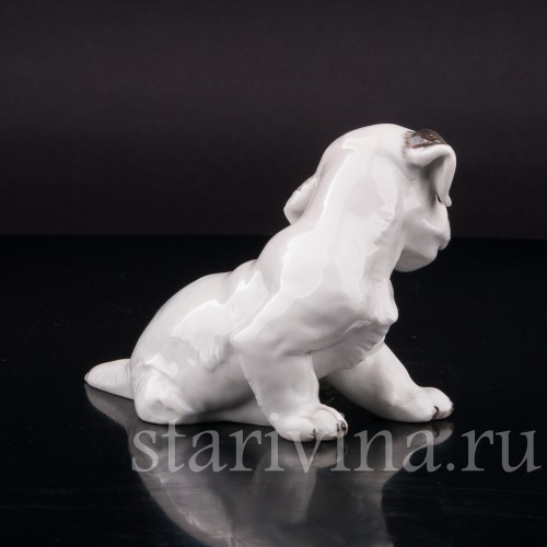 Фигурка собаки из фарфора Щенок терьера, Rosenthal, Германия, 1949 год.