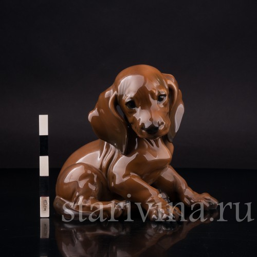 Фарфоровая фигурка собаки Сидящий щенок таксы, Rosenthal, Германия, 1950-60 гг.