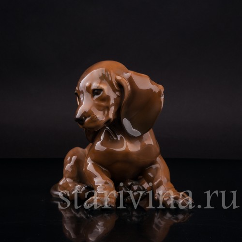 Фарфоровая фигурка собаки Сидящий щенок таксы, Rosenthal, Германия, 1950-60 гг.