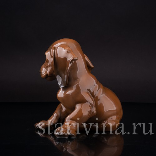 Фарфоровая фигурка собаки Сидящий щенок таксы, Rosenthal, Германия, 1950-60 гг.