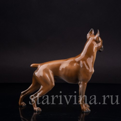 Статуэтка собаки из фарфора Боксёр, Rosenthal, Германия, 1970 гг.