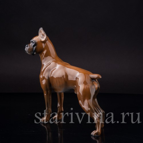 Статуэтка собаки из фарфора Боксёр, Rosenthal, Германия, 1970 гг.