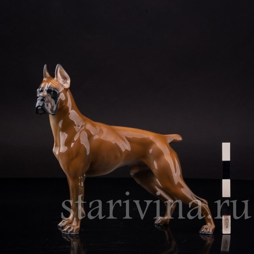 Статуэтка собаки из фарфора Боксёр, Rosenthal, Германия, 1970 гг.