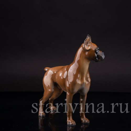 Статуэтка собаки из фарфора Боксёр, Rosenthal, Германия, 1970 гг.