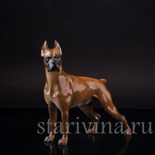 Статуэтка собаки из фарфора Боксёр, Rosenthal, Германия, 1970 гг.