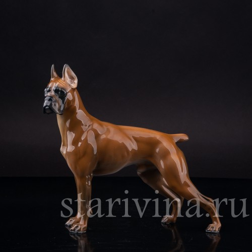 Статуэтка собаки из фарфора Боксёр, Rosenthal, Германия, 1970 гг.