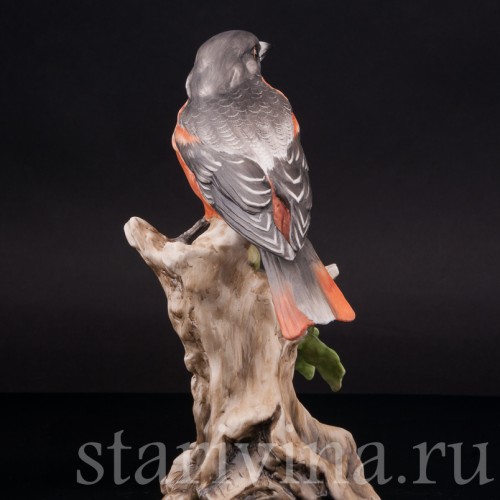 Дрозд, Alka Kaiser, Германия, вт. пол. 20 века