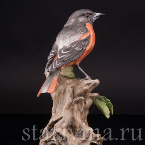 Дрозд, Alka Kaiser, Германия, вт. пол. 20 века