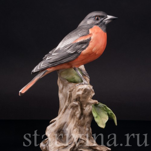 Дрозд, Alka Kaiser, Германия, вт. пол. 20 века