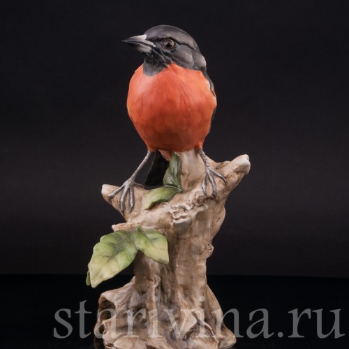 Дрозд, Alka Kaiser, Германия, вт. пол. 20 века