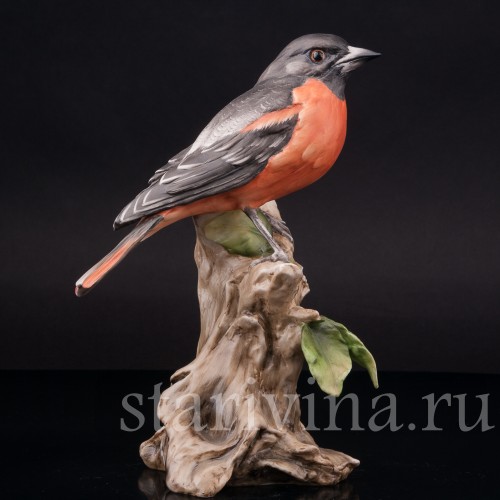 Дрозд, Alka Kaiser, Германия, вт. пол. 20 века