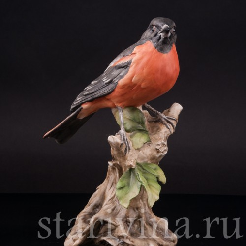 Дрозд, Alka Kaiser, Германия, вт. пол. 20 века