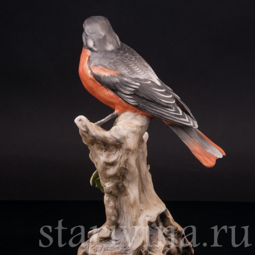 Дрозд, Alka Kaiser, Германия, вт. пол. 20 века