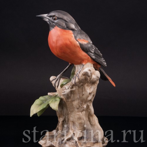 Дрозд, Alka Kaiser, Германия, вт. пол. 20 века