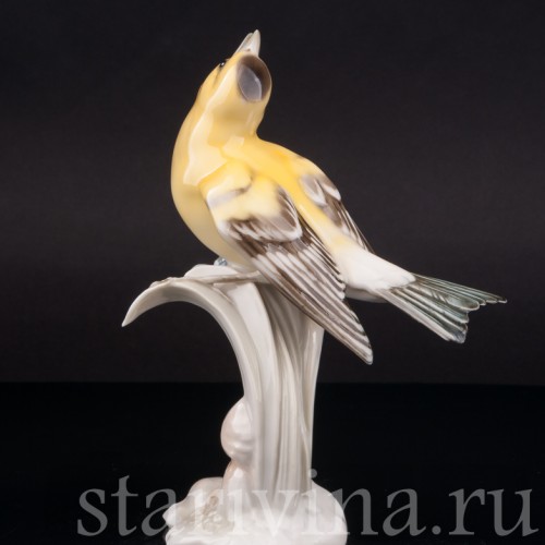 Статуэтка птицы из фарфора Поющая иволга, Hutschenreuther, Германия, сер. 20 в.
