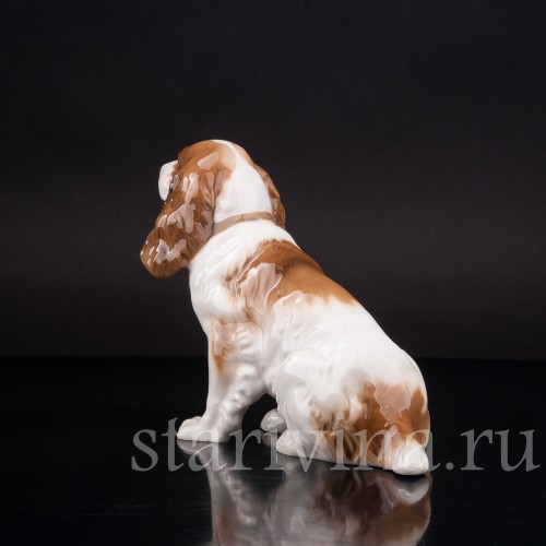 Фарфоровая статуэтка собаки Сидящий спаниель, Hutschenreuther, Германия, 1955-68 гг.