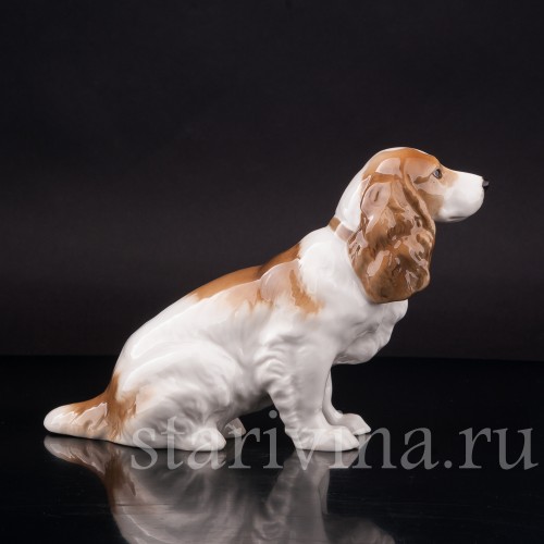 Фарфоровая статуэтка собаки Сидящий спаниель, Hutschenreuther, Германия, 1955-68 гг.