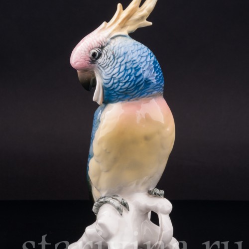 Статуэтка птицы из фарфора Попугай синий какаду, Karl Ens, Германия, сер. 20 в.