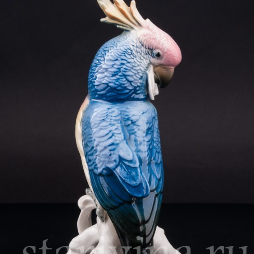 Статуэтка птицы из фарфора Попугай синий какаду, Karl Ens, Германия, сер. 20 в.