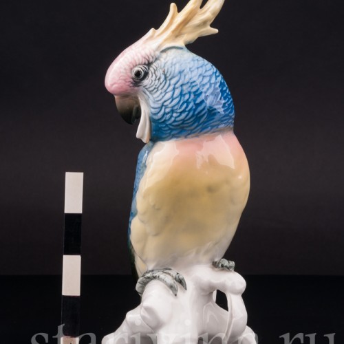 Статуэтка птицы из фарфора Попугай синий какаду, Karl Ens, Германия, сер. 20 в.
