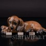 Фигурка собаки из фарфора Лежащий щенок таксы Rosenthal, Германия, 1930-40 гг.