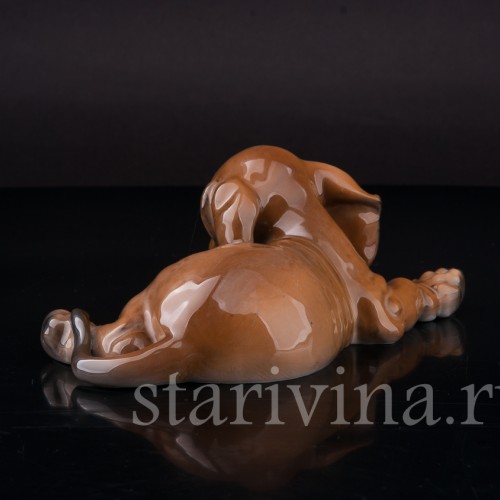 Фигурка собаки из фарфора Лежащий щенок таксы Rosenthal, Германия, 1930-40 гг.