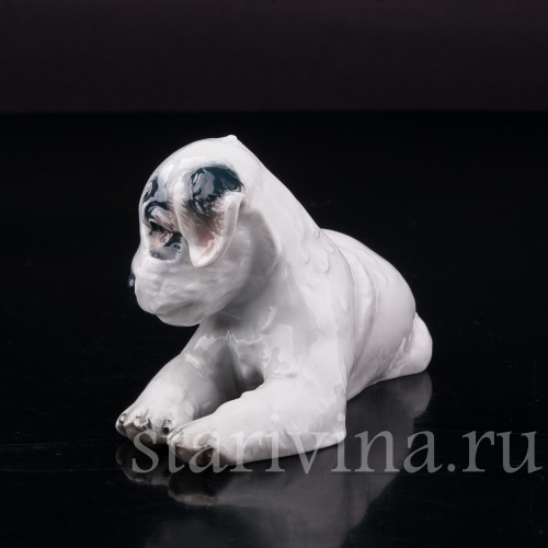 Фарфоровая статуэтка собаки Лежащий щенок селихем терьера, Rosenthal, Германия, 1946 год.