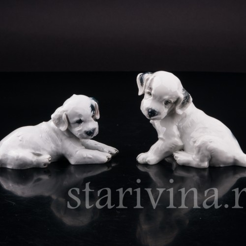 Фарфоровая статуэтка собаки Лежащий щенок селихем терьера, Rosenthal, Германия, 1946 год.