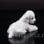 Фарфоровая статуэтка собаки Лежащий щенок селихем терьера, Rosenthal, Германия, 1946 год.