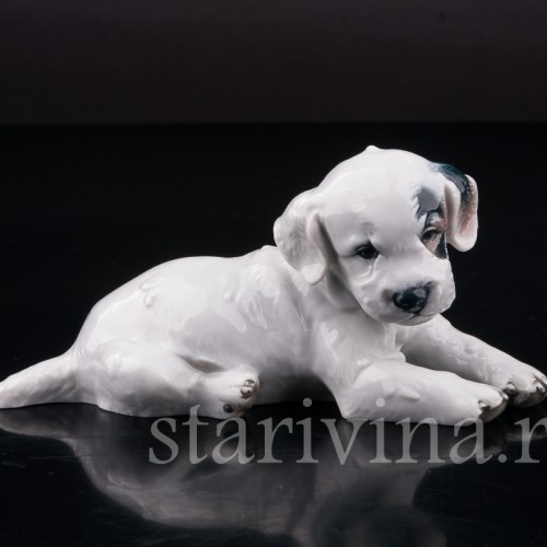 Фарфоровая статуэтка собаки Лежащий щенок селихем терьера, Rosenthal, Германия, 1946 год.