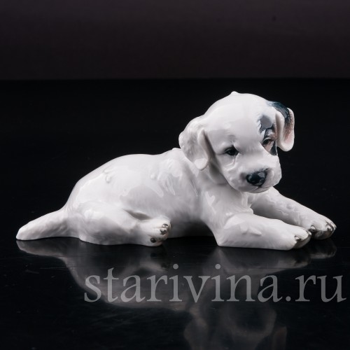 Фарфоровая статуэтка собаки Лежащий щенок селихем терьера, Rosenthal, Германия, 1946 год.