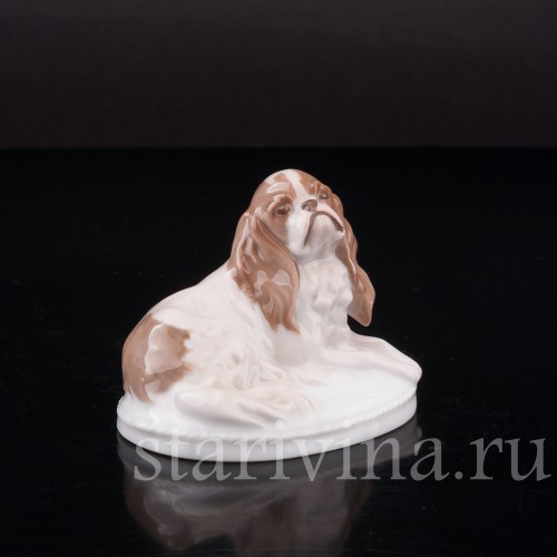 Фарфоровая фигурка собаки Кинг-чарльз-спаниель (английский спаниель), миниатюра, Rosenthal, Германия, 1920-30 гг.
