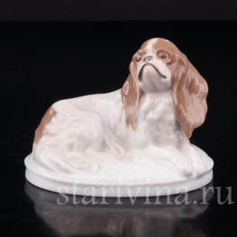 Фарфоровая фигурка собаки Кинг чарльз спаниель, миниатюра, Rosenthal, Германия, 1920-30 гг.