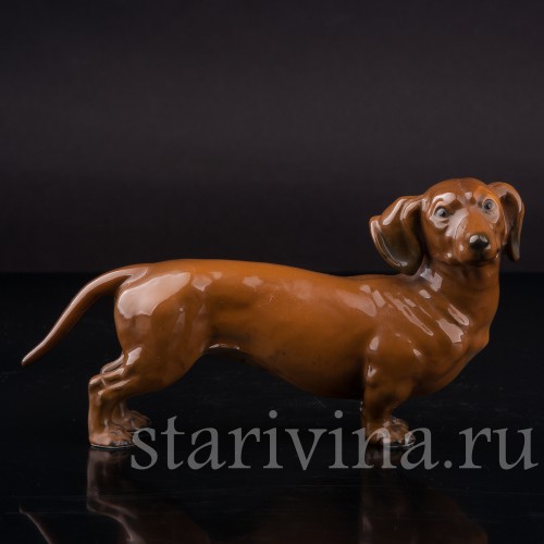 Статуэтка собаки из фарфора Стоящая такса, миниатюра, Rosenthal, Германия, 1950-60 гг.
