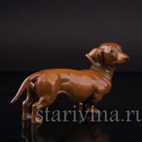 Статуэтка собаки из фарфора Стоящая такса, миниатюра, Rosenthal, Германия, 1950-60 гг.