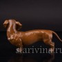 Статуэтка собаки из фарфора Стоящая такса, миниатюра, Rosenthal, Германия, 1950-60 гг.