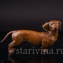 Статуэтка собаки из фарфора Стоящая такса, миниатюра, Rosenthal, Германия, 1950-60 гг.