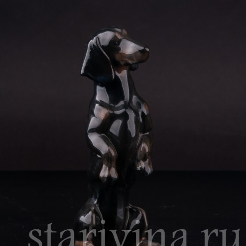 Фарфоровая статуэтка собаки Чёрная такса на задних лапах, миниатюра, Rosenthal, Германия, 1950-60 гг.