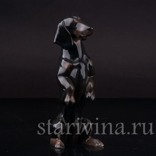 Фарфоровая статуэтка собаки Чёрная такса на задних лапах, миниатюра, Rosenthal, Германия, 1950-60 гг.