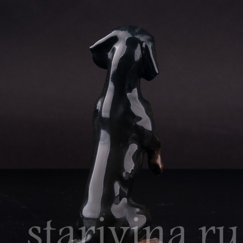 Фарфоровая статуэтка собаки Чёрная такса на задних лапах, миниатюра, Rosenthal, Германия, 1950-60 гг.