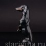 Фарфоровая статуэтка собаки Чёрная такса на задних лапах, миниатюра, Rosenthal, Германия, 1950-60 гг.