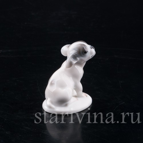 Фарфоровая фигурка собаки Щенок французского бульдога, миниатюра, Rosenthal, Германия, 1924 год.