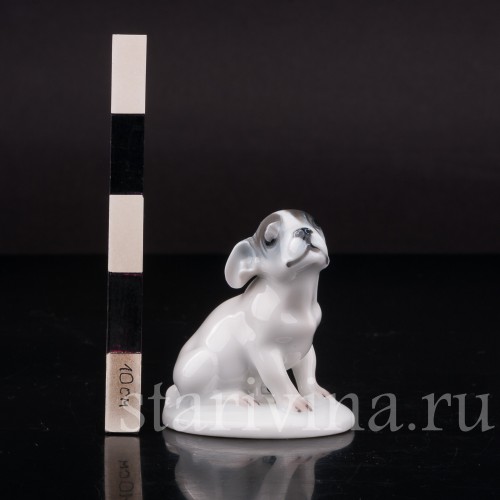 Фарфоровая фигурка собаки Щенок французского бульдога, миниатюра, Rosenthal, Германия, 1924 год.