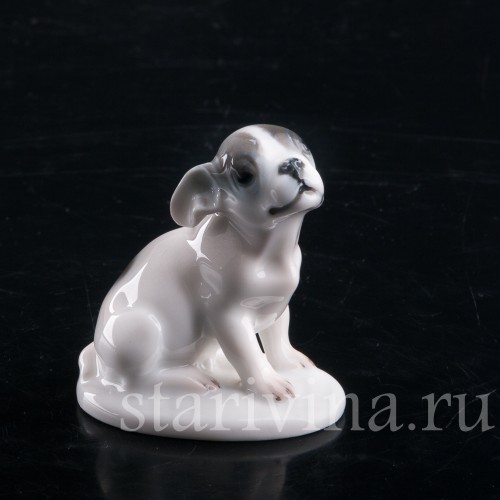 Фарфоровая фигурка собаки Щенок французского бульдога, миниатюра, Rosenthal, Германия, 1924 год.