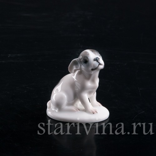 Фарфоровая фигурка собаки Щенок французского бульдога, миниатюра, Rosenthal, Германия, 1924 год.